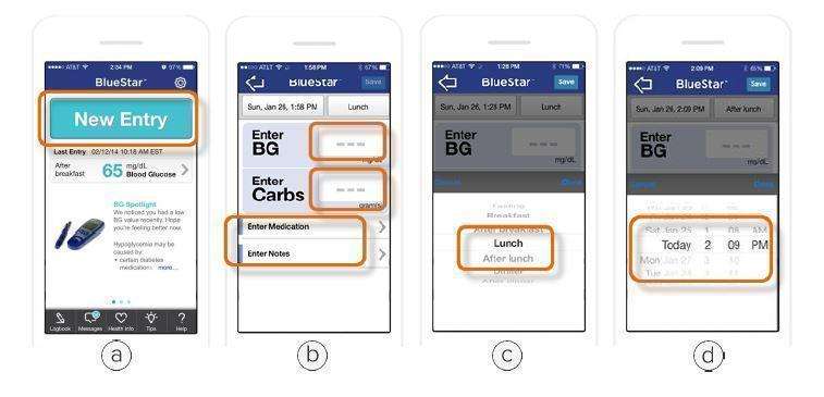 WellDoc BlueStar or WellDoc DiabetesManager System and DiabetesManager Rx System